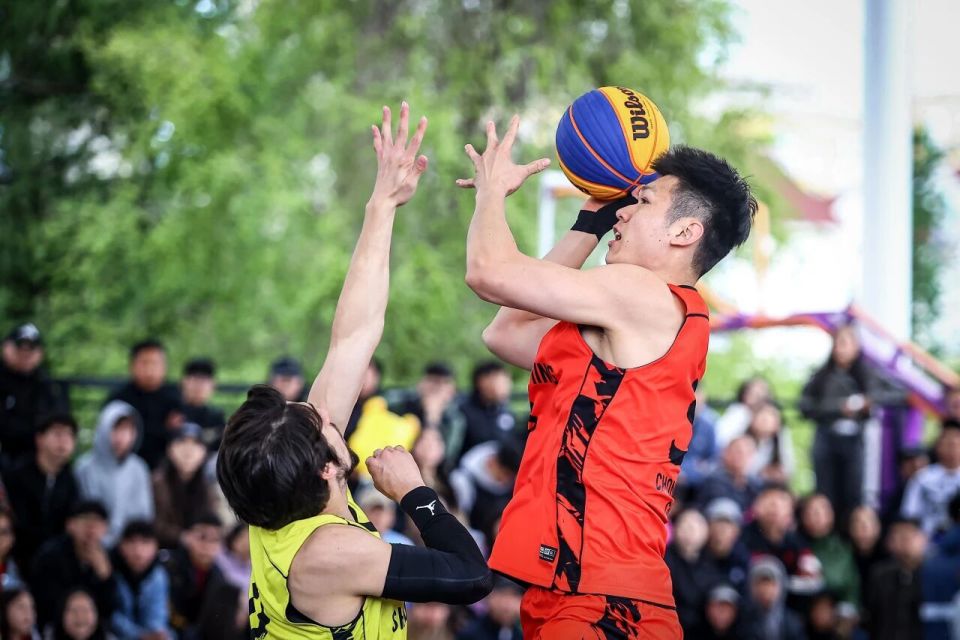 头号种子乌 头号种子乌